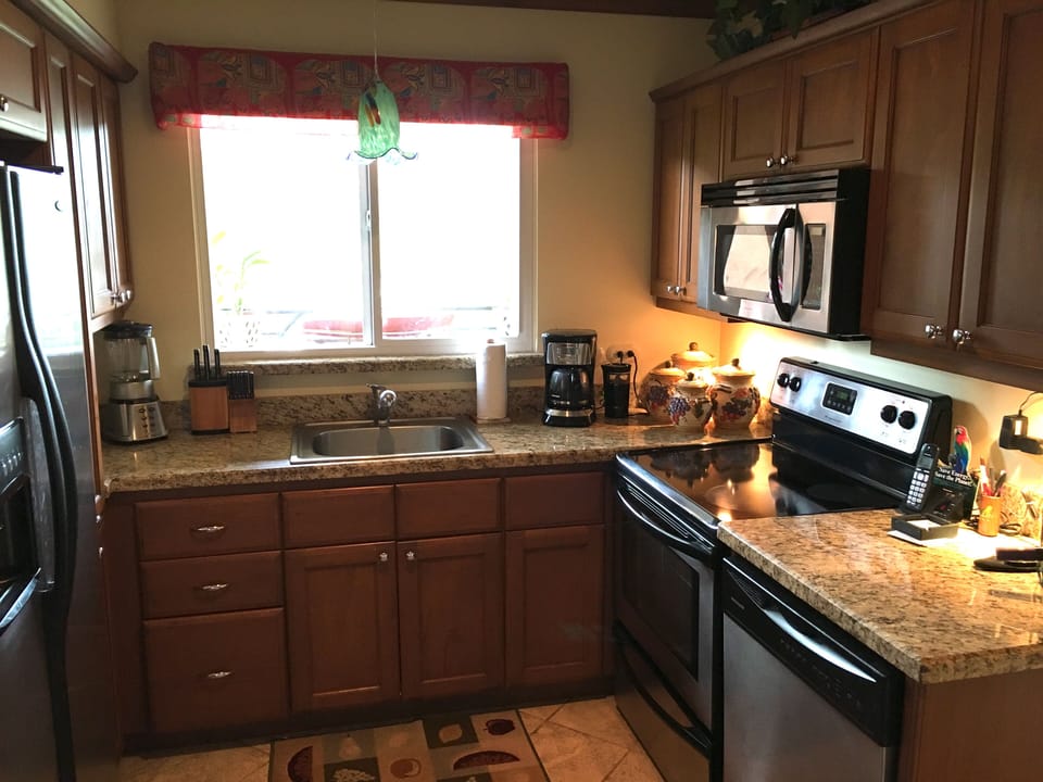 Kitchen View 2