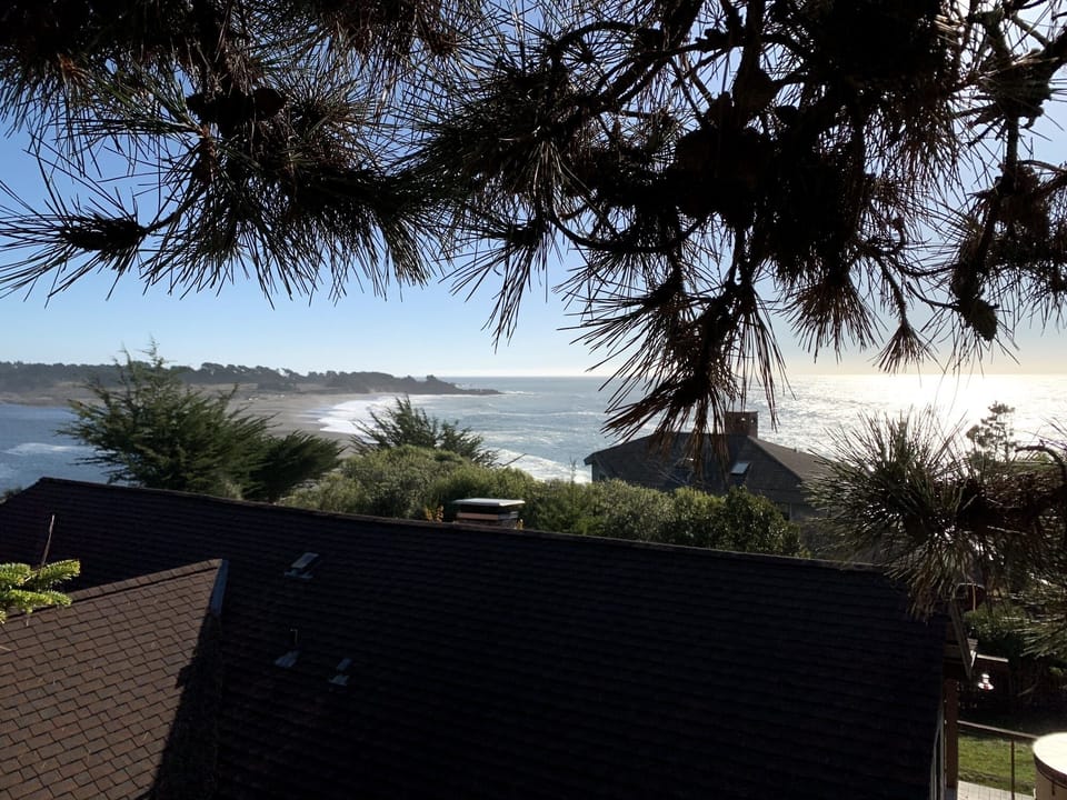 On the Tree Platform
