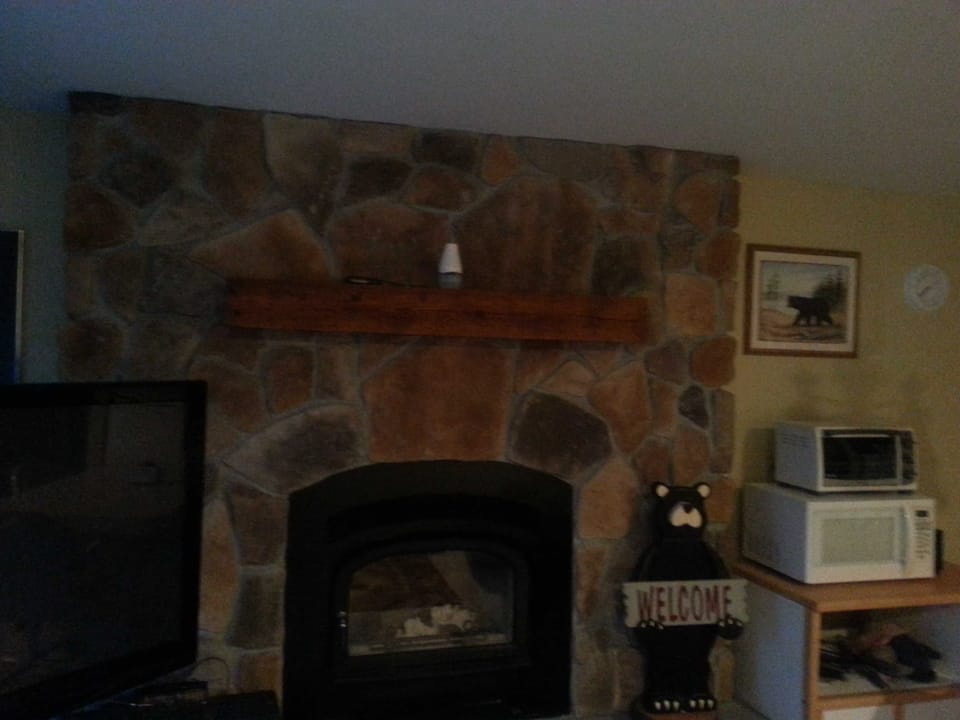 Real Wood Burning Fireplace