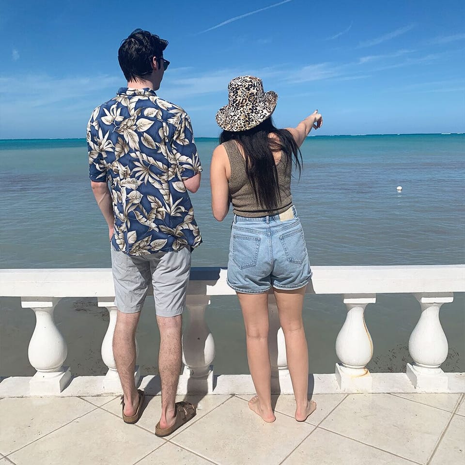 Spot sea turtles, dolphins and stingrays from the patio