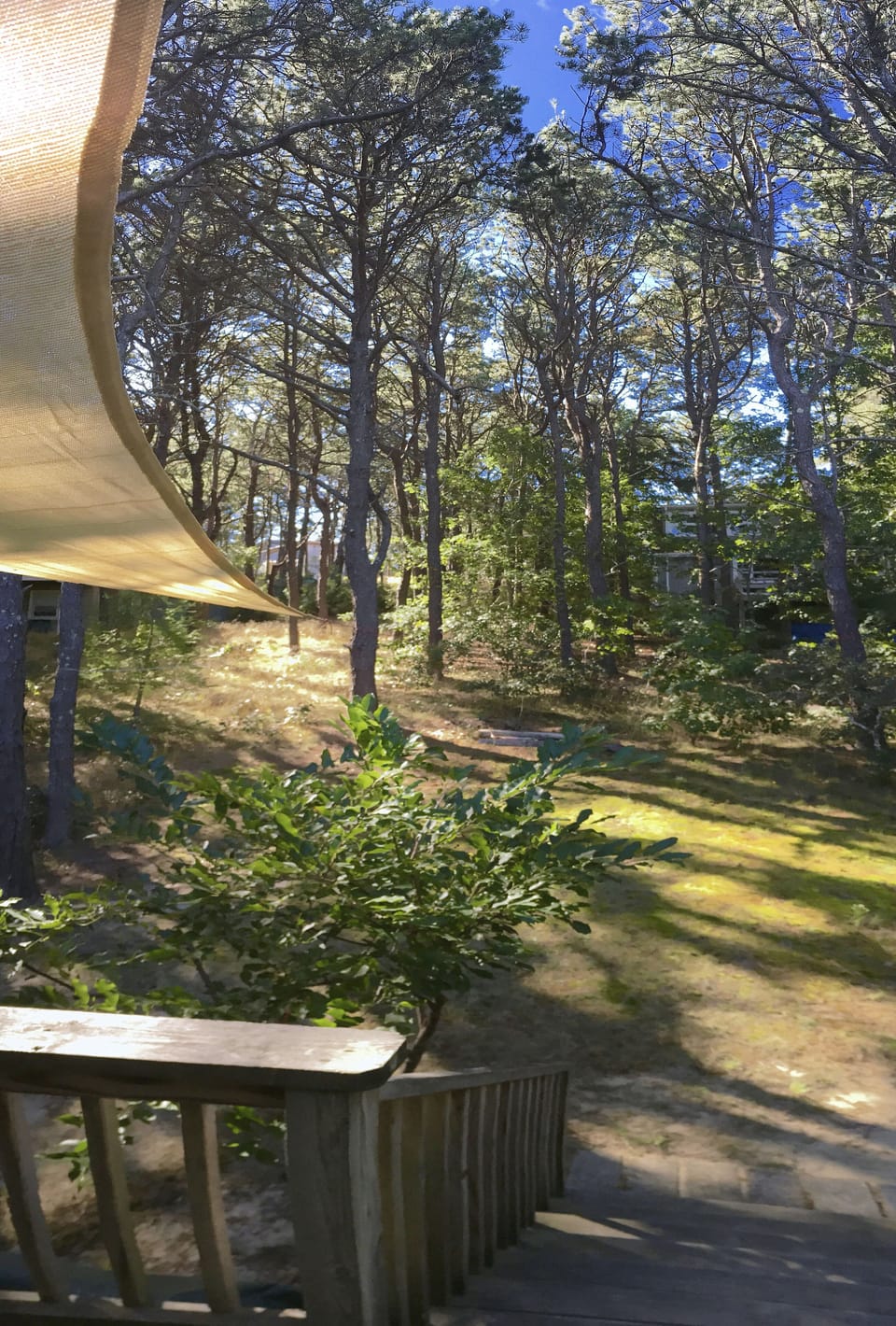 Morning light off Master Bedroom Deck