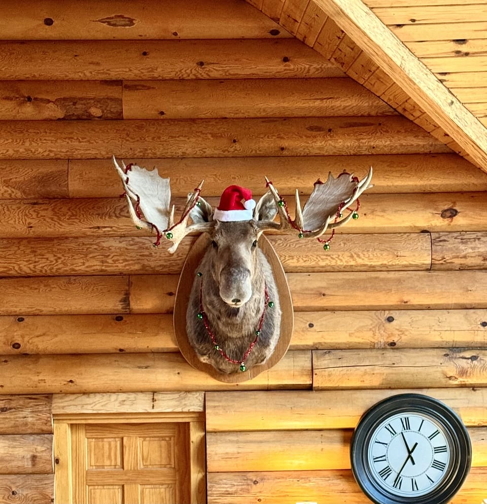 Make sure and take a photo with Ug the Moose