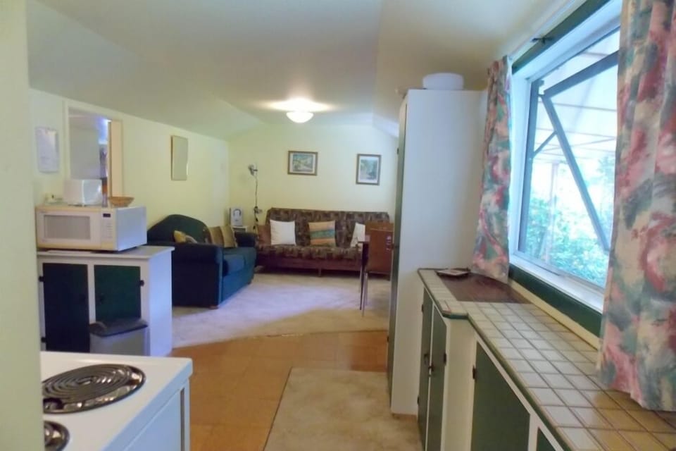 Kitchen to living area