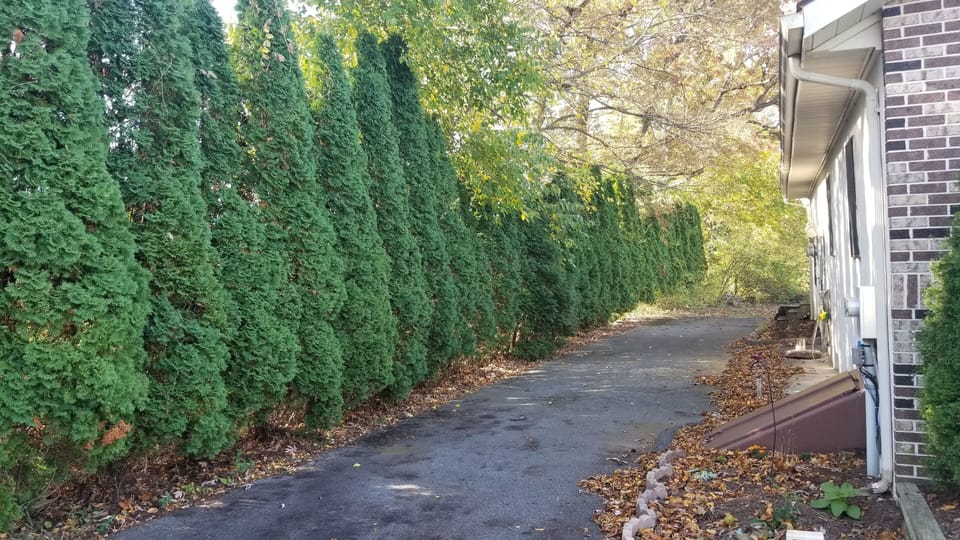 plenty of parking and privacy