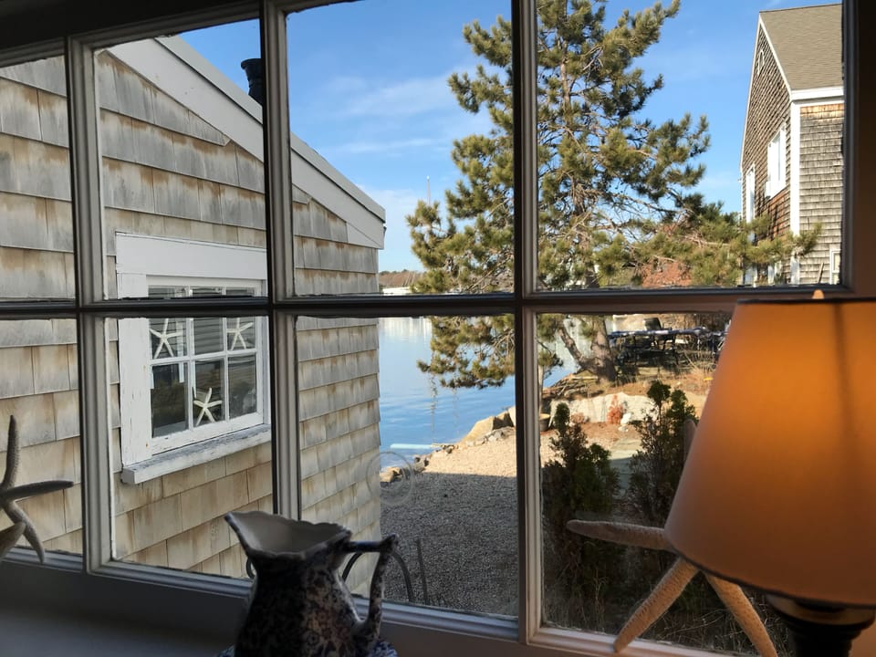 View from kitchen window.
