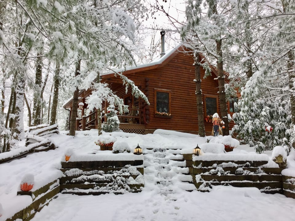 Snowed in⛄️3100 elevation 