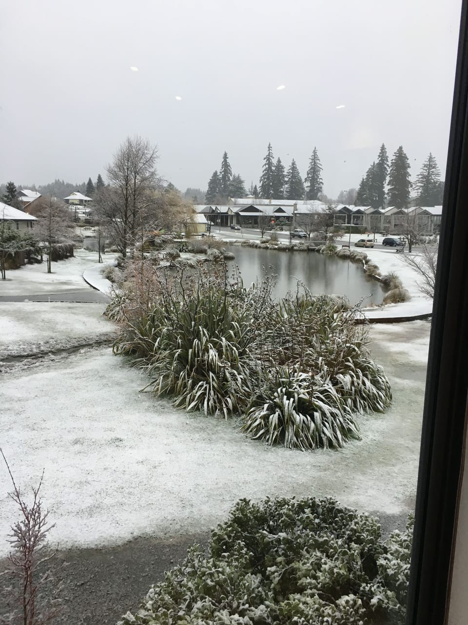 view across the lake after a dusting of snow