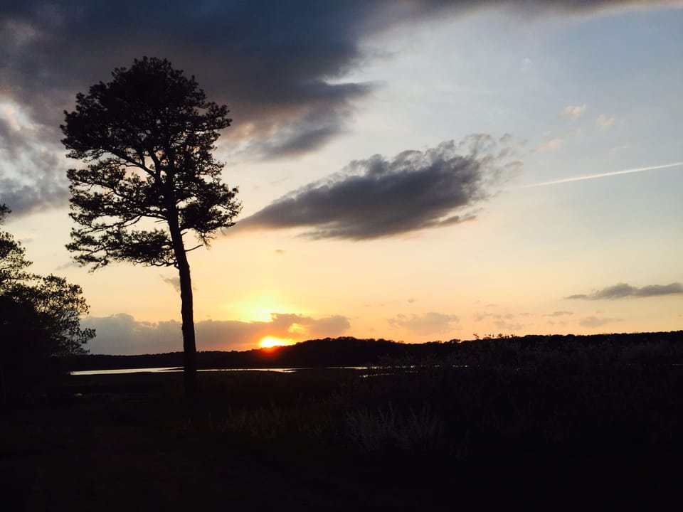 Sunset over marsh
