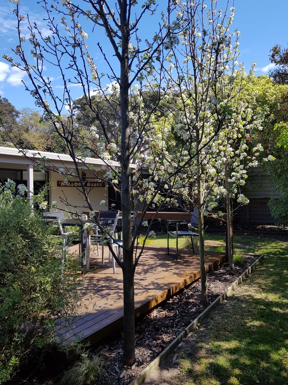 Quiet outdoor space to relax