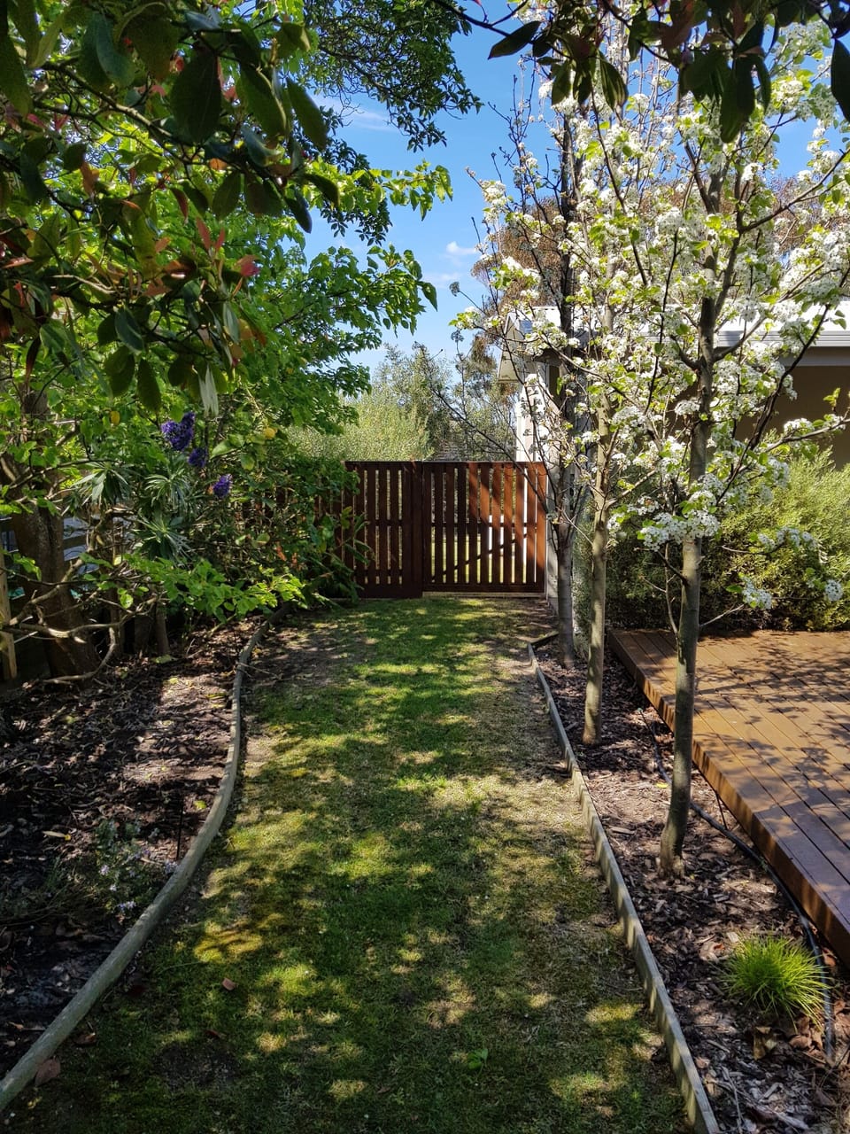 Garden path leading to rear of property. High fencing to secure kids and pets.