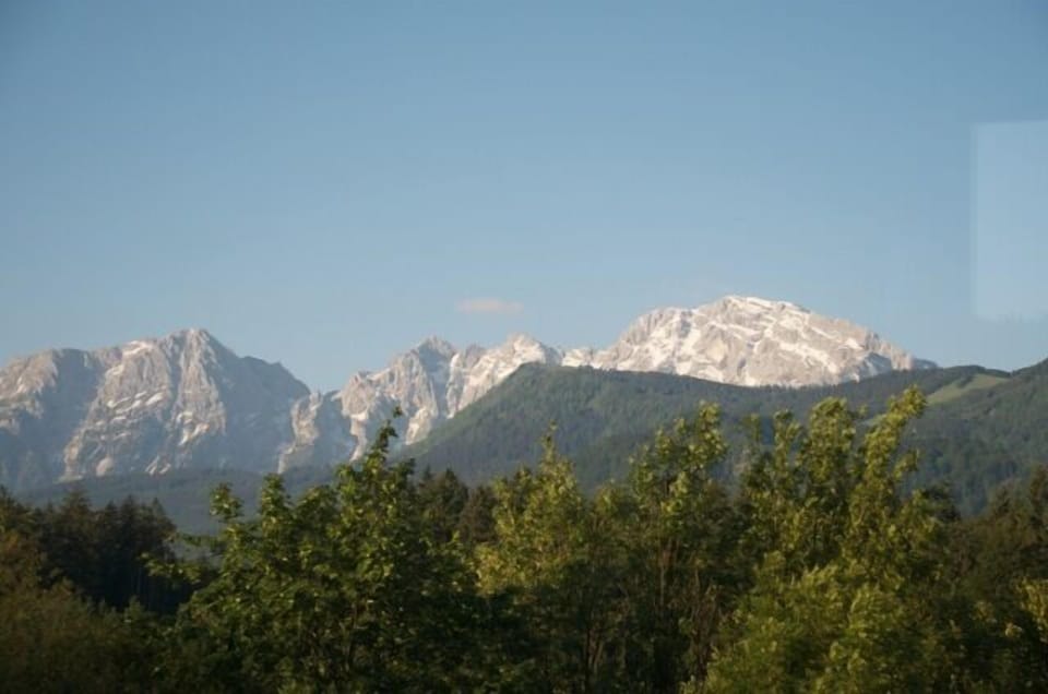 Our View!