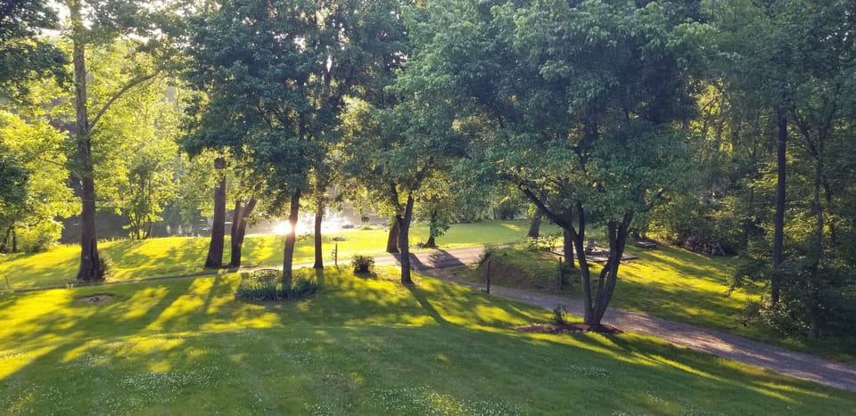 View from the deck towards to river