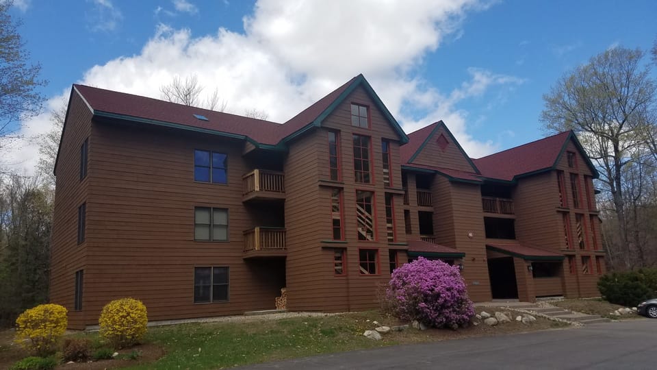 Springtime at Deer Park 