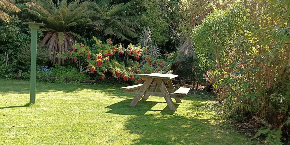 Front garden is a good place to enjoy the outside environment.