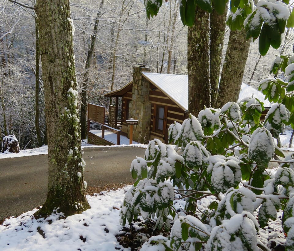 Snow on the roof