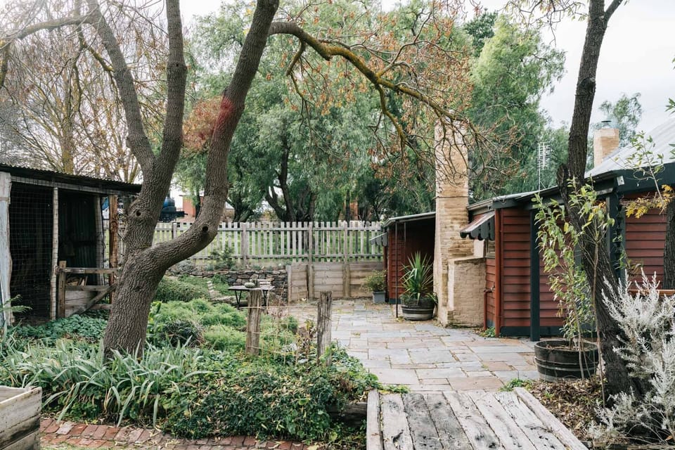 ....in a garden that's evolving, with places to be and listen to the birds....