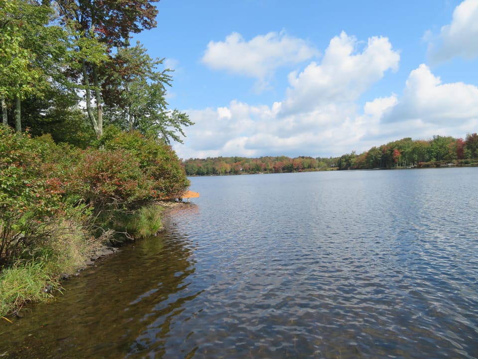 Lake Carobeth in summer seen from our dock.