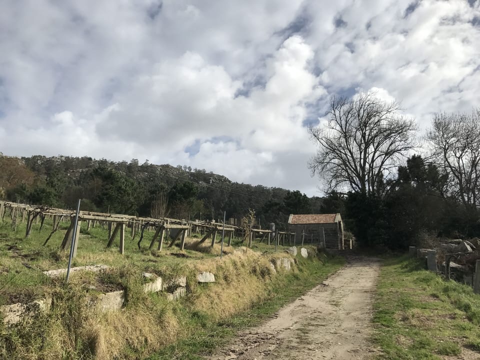 Meet the neighbours and their local wine available from a local restaurant 