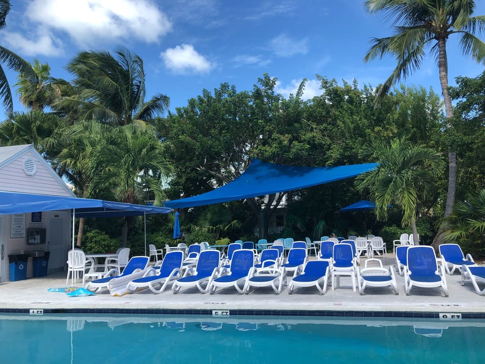 New pool loungers and extra shade!