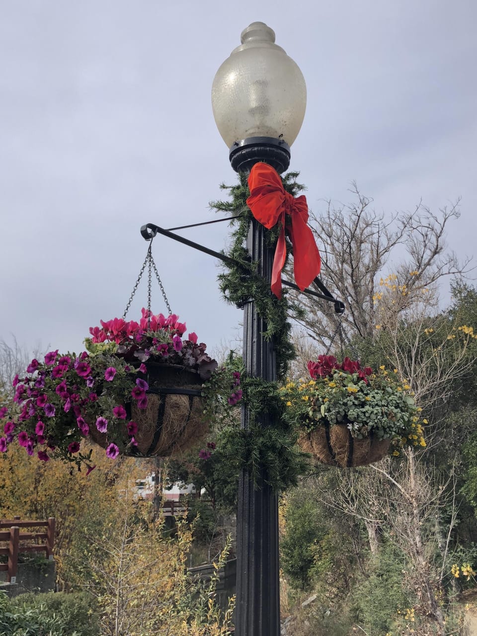 Holidays in Napa