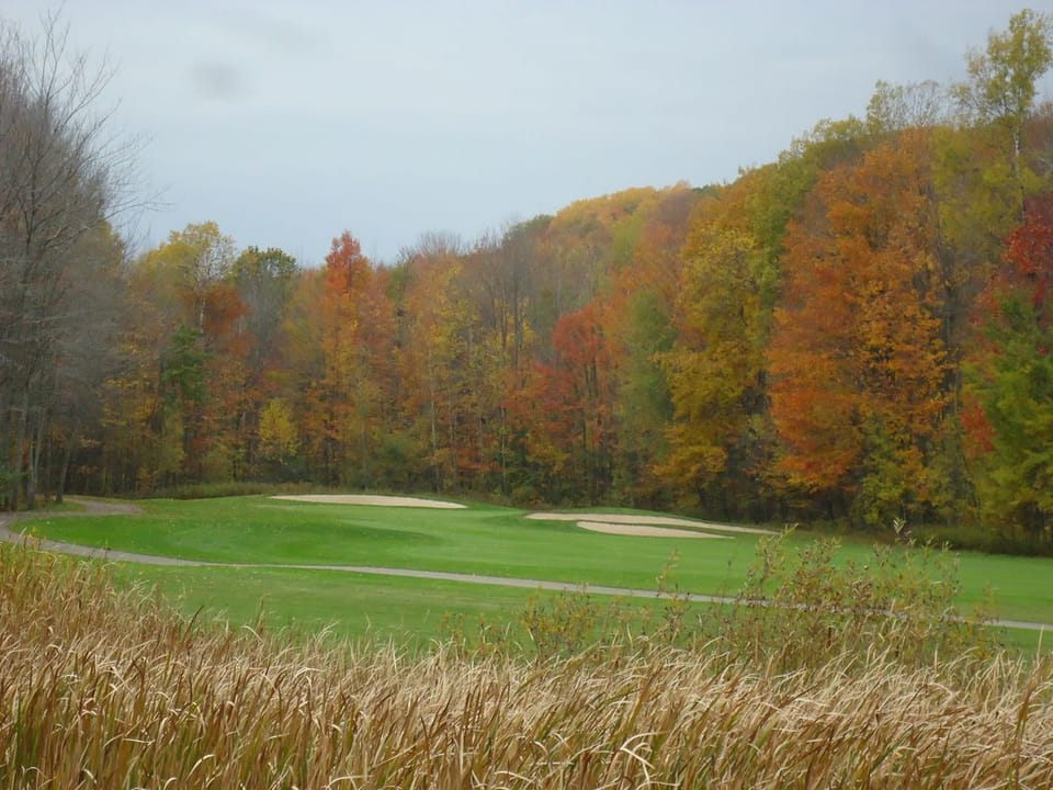 fall colors looking toward 1st Green