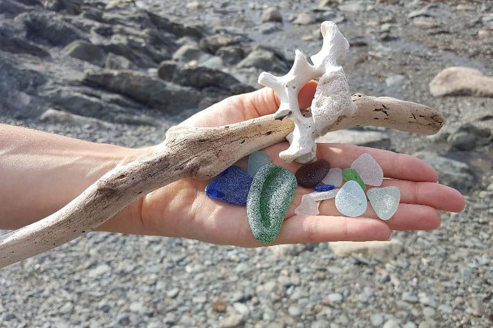Beach treasures.
