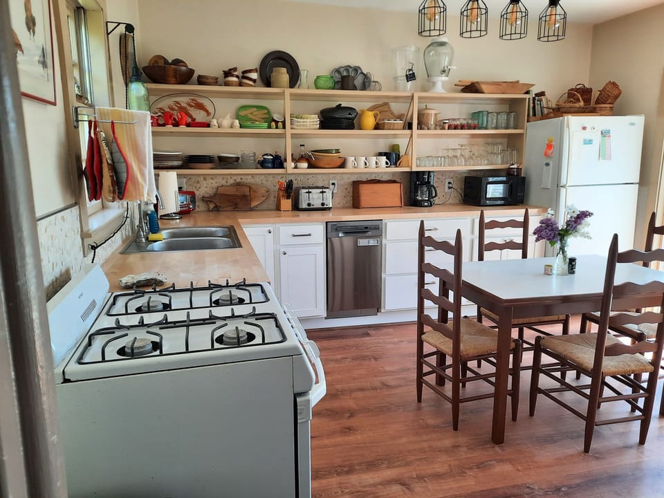 New kitchen replete with dishwasher.