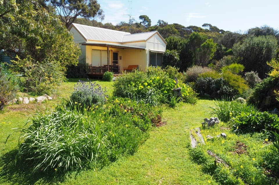 Front garden 