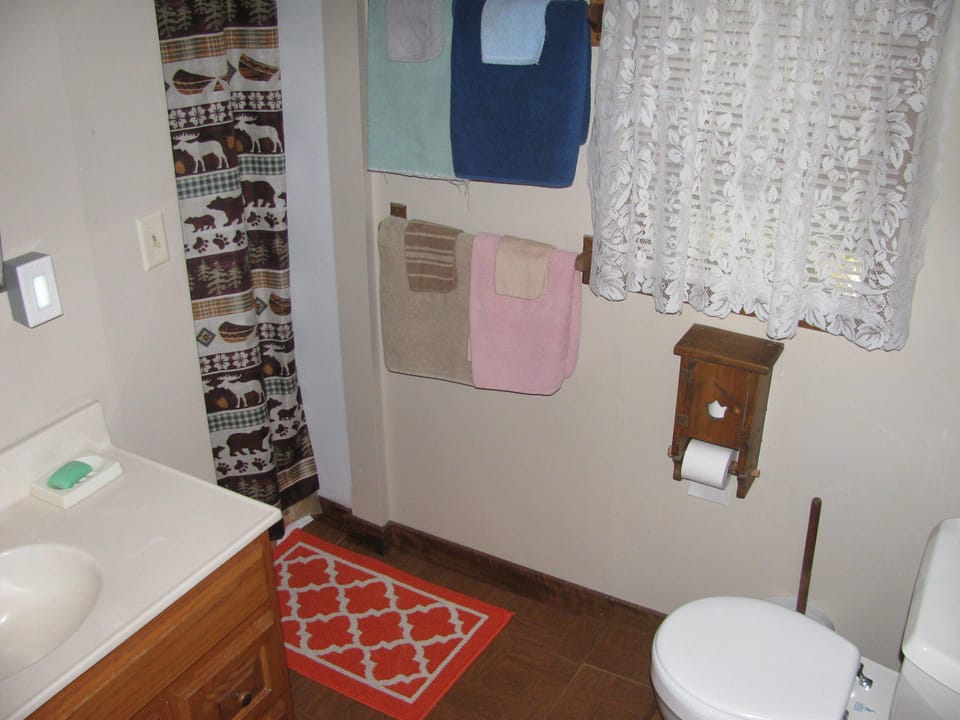 Bathroom includes stand-in shower and raised toilet.