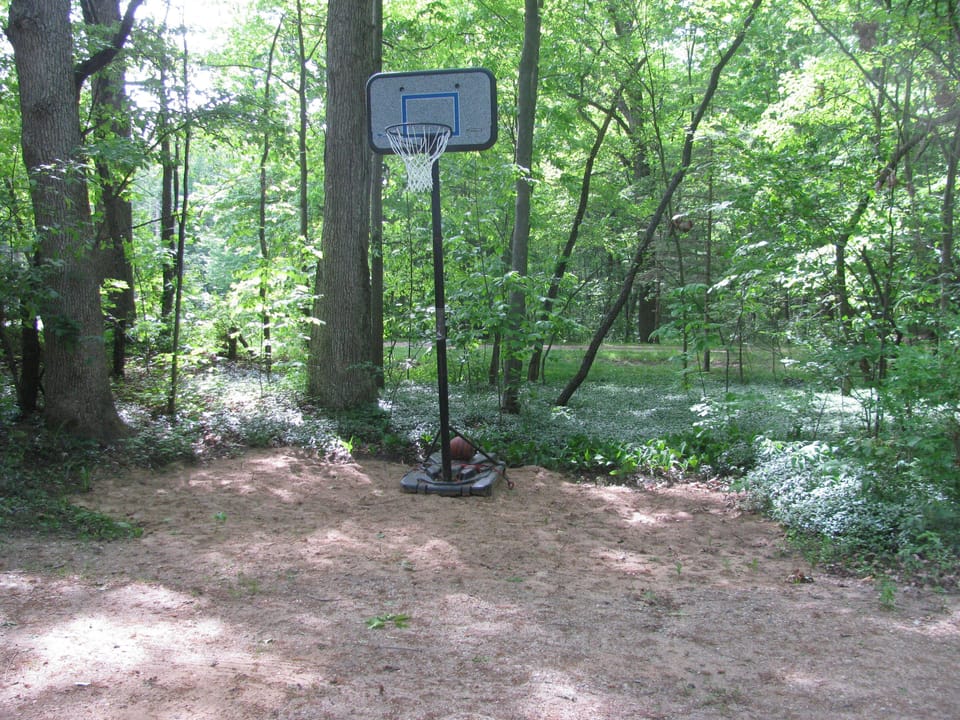 Basketball hoop and basketball on site.