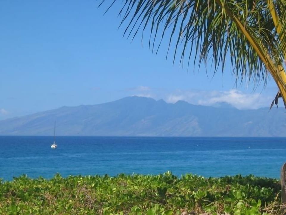 Beach View