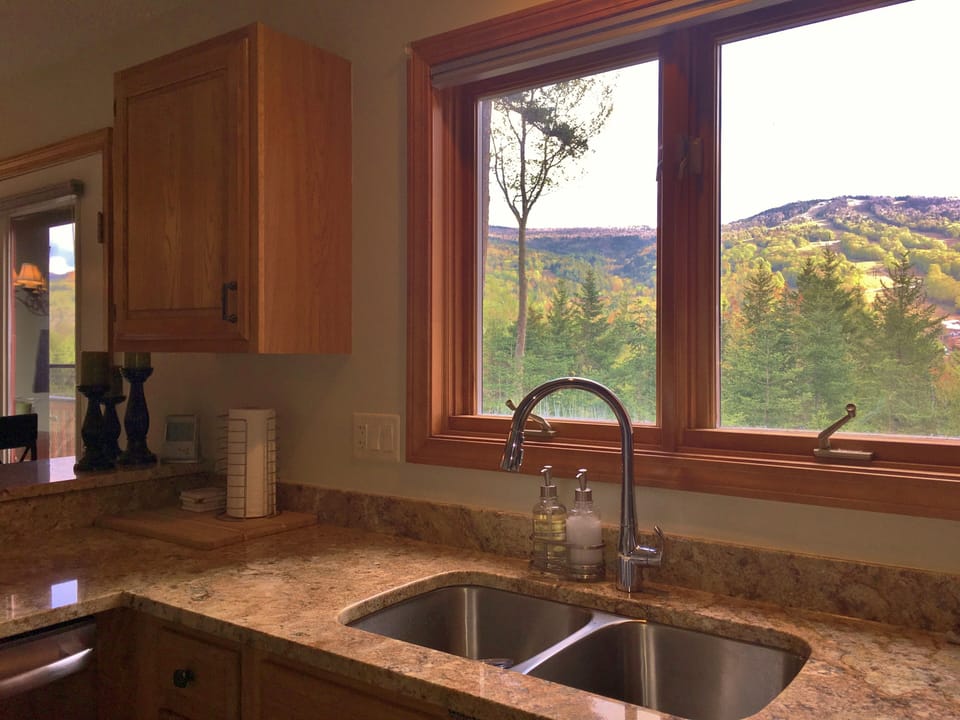 View from kitchen.