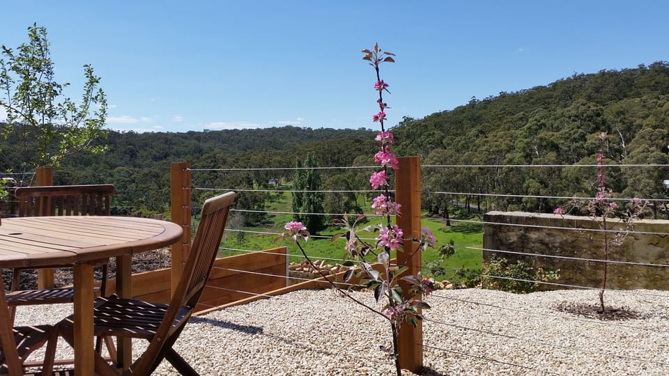 Apple trees and view across valley