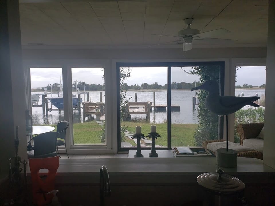 View from Sunroom looking south to the creek