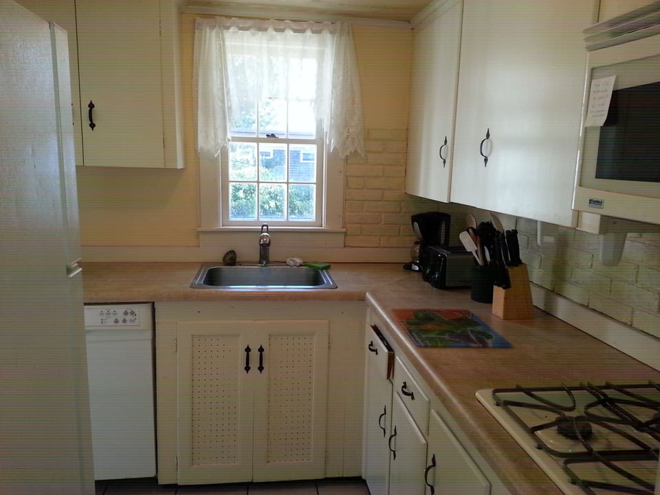 Kitchen with Dishwasher and microwave/convection oven and gas stovetop