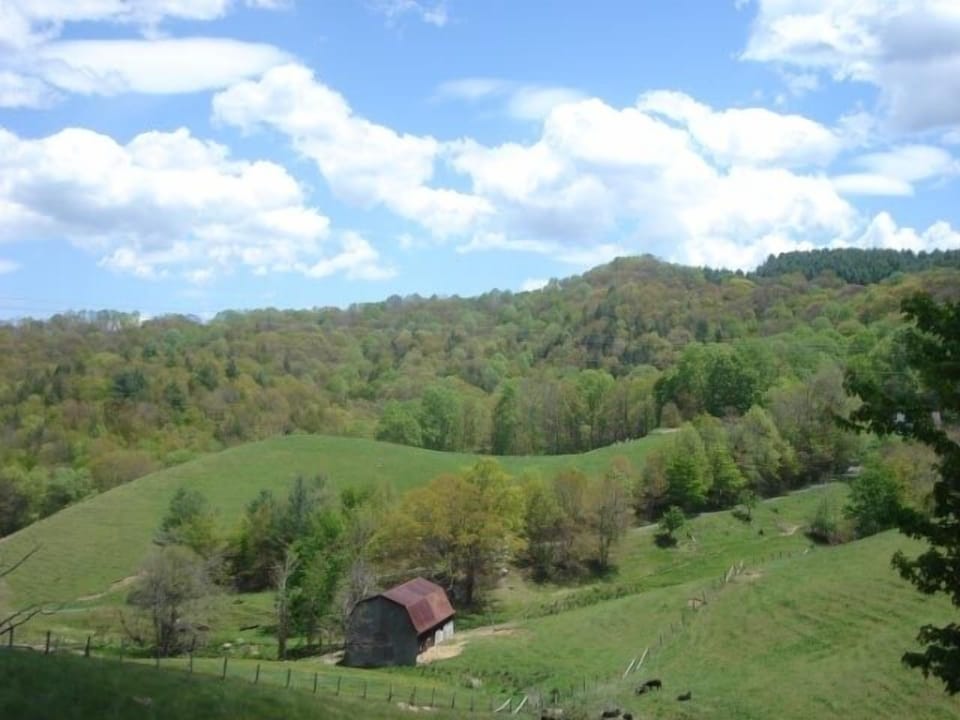 Porch View