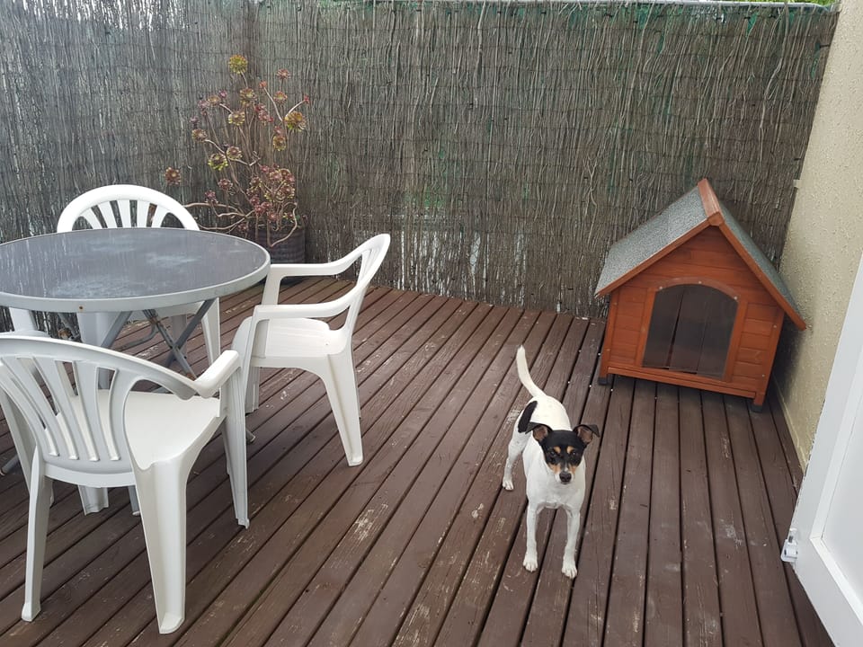 Deck/seating area