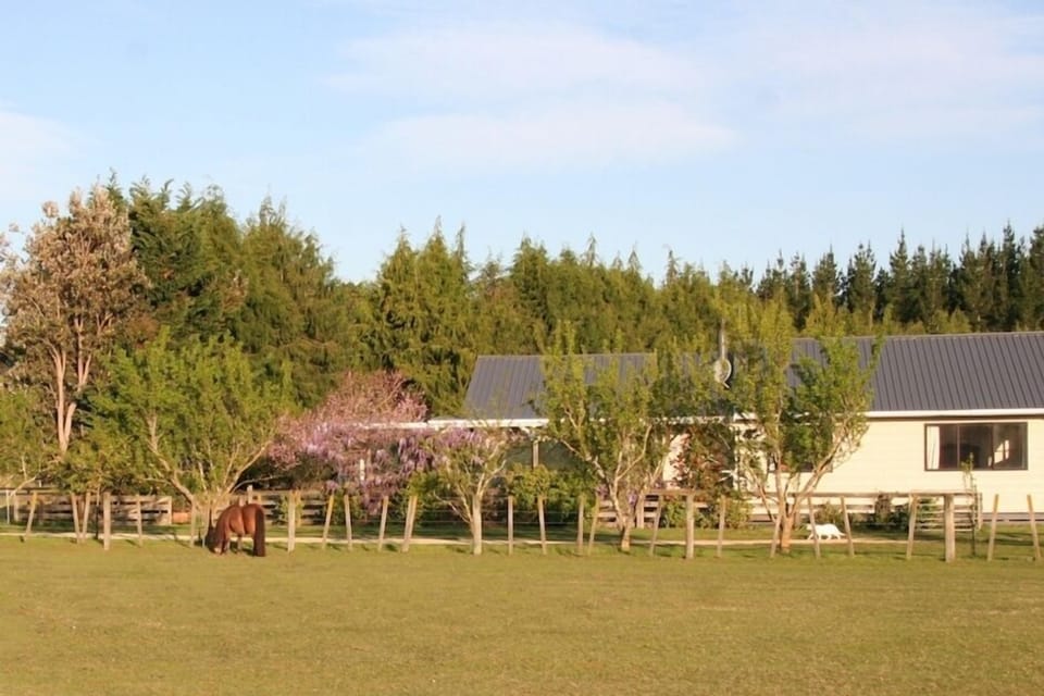 The Setting