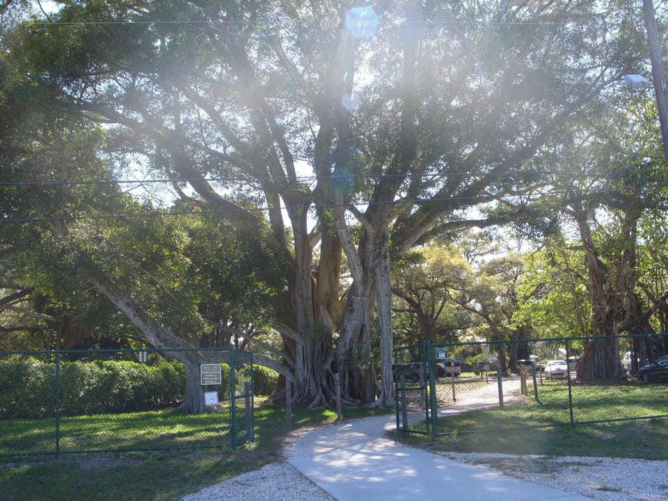 Ford Historic Winter Getaway