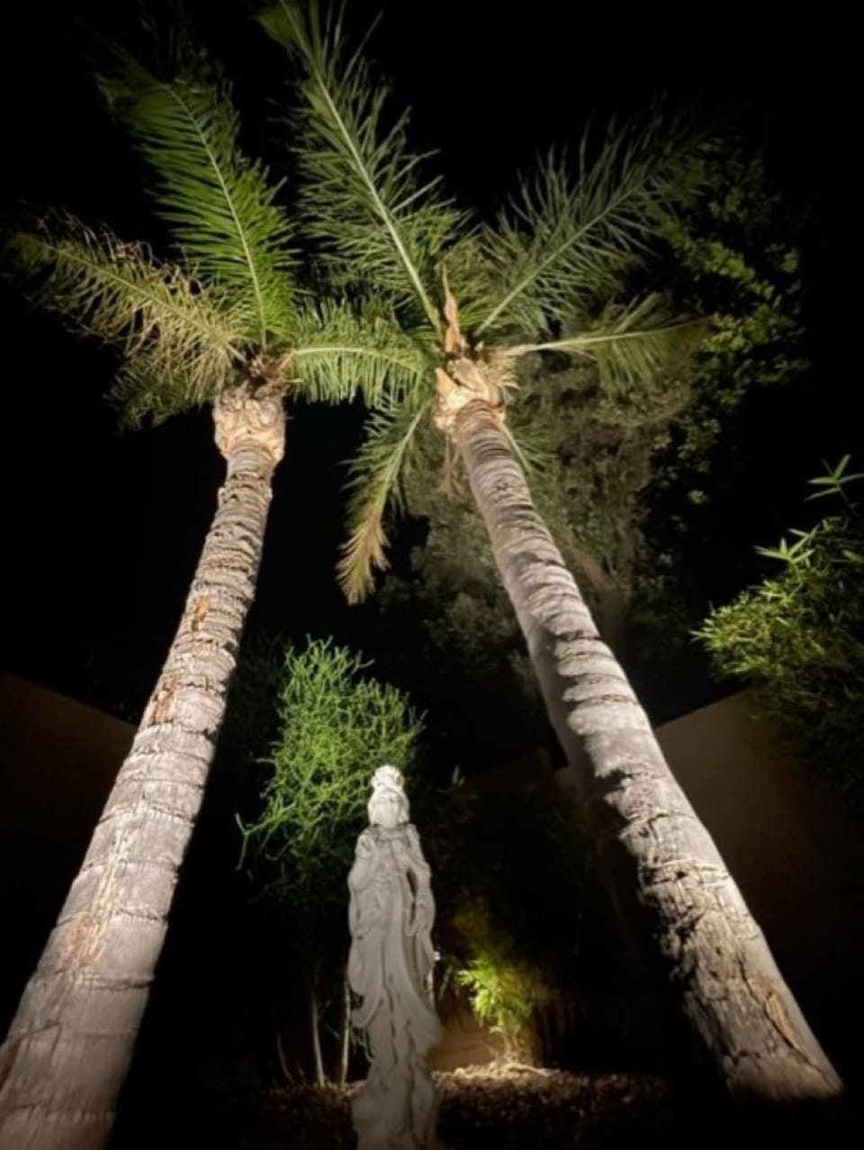 Palm Trees Tower Over an Oriental Ancient Goddess