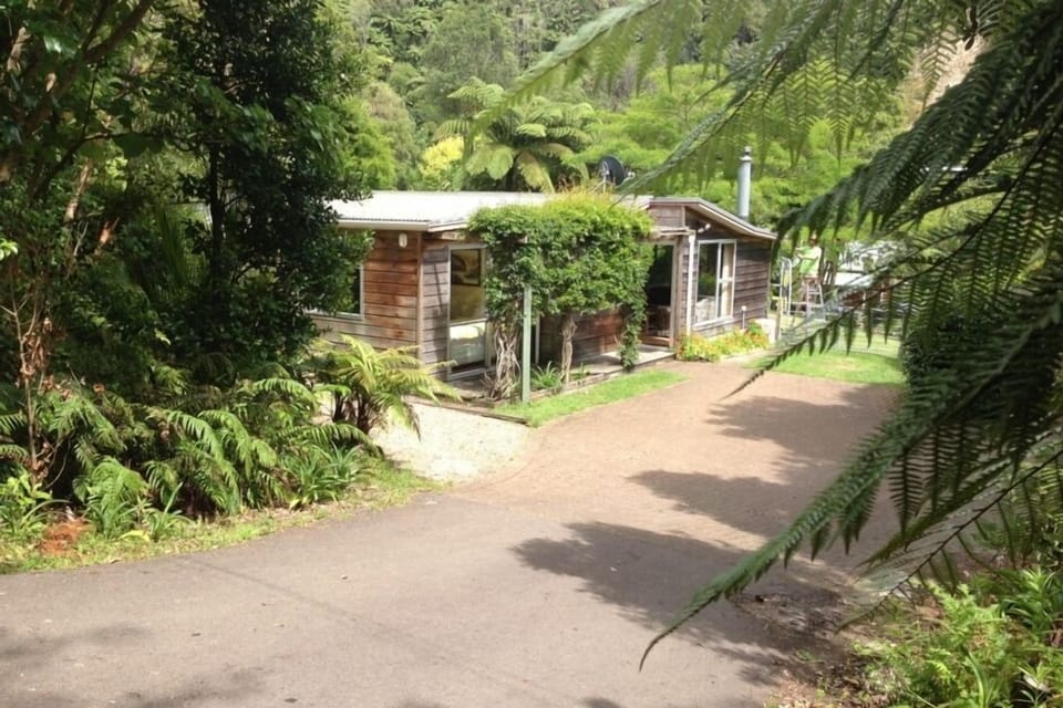 Down the drive