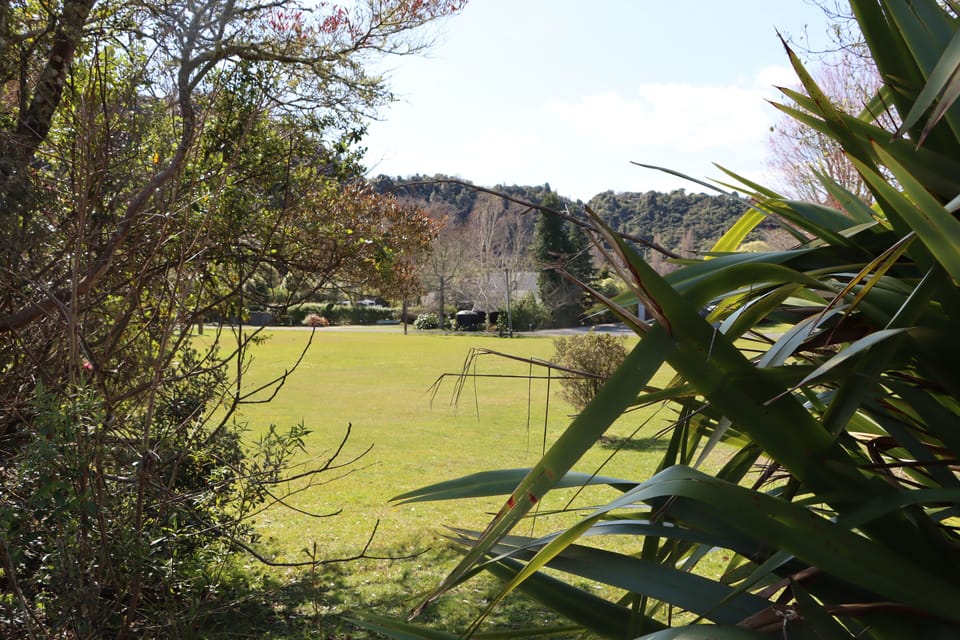 Large reserve right next door to the house