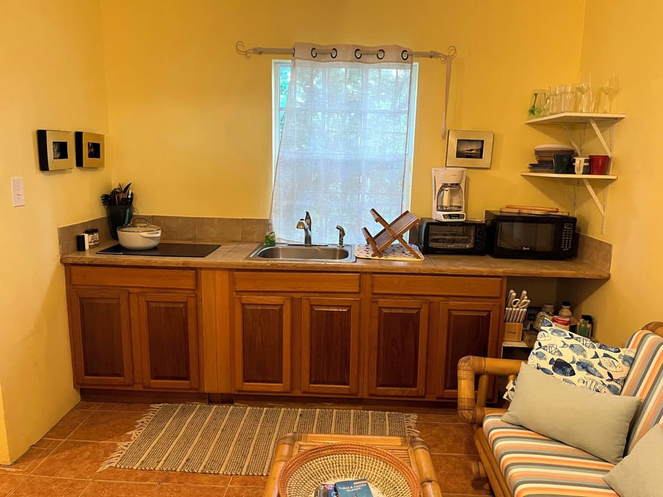 Compact kitchen area. Induction stove for safety.