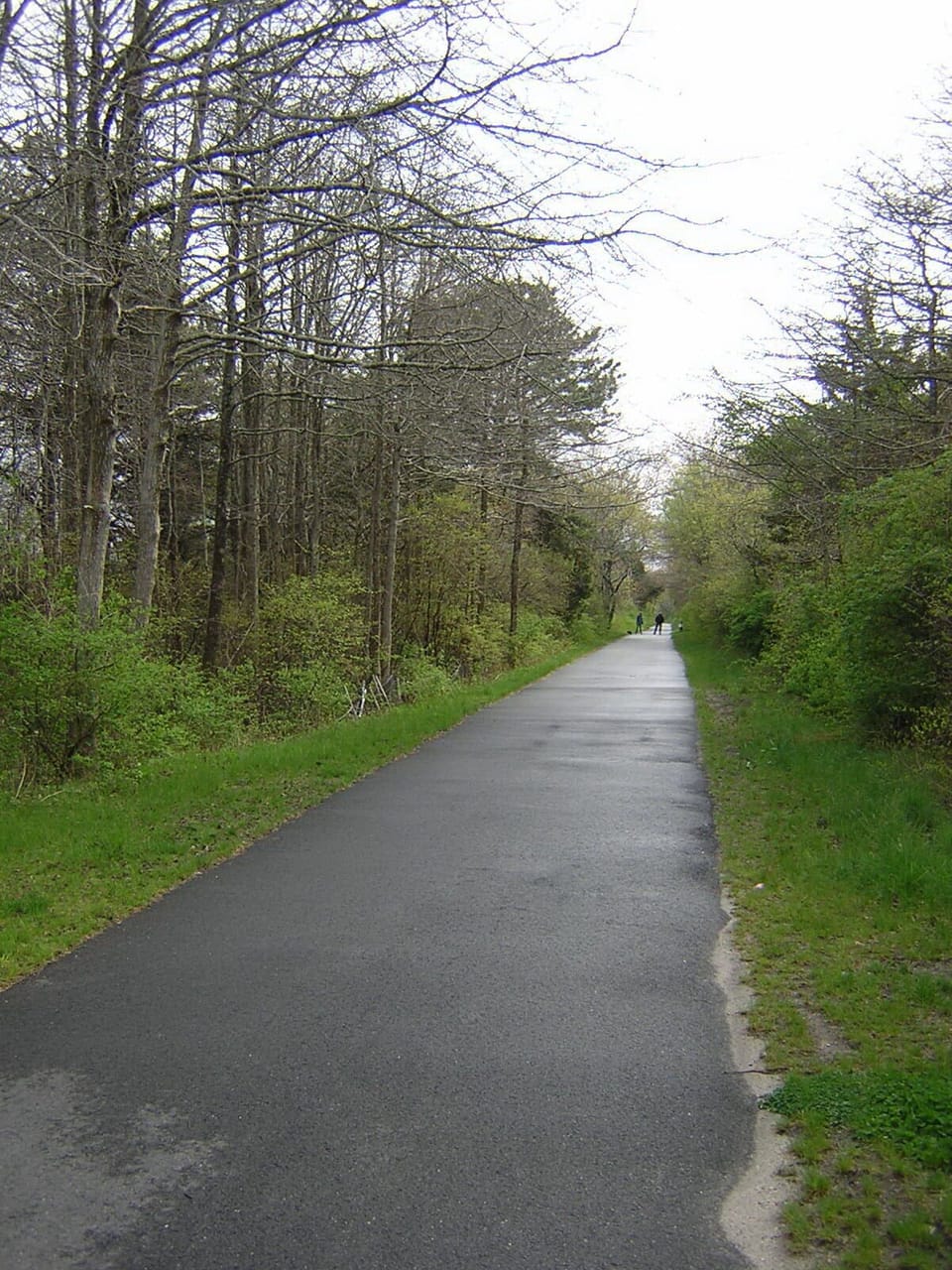 Bike, walk, wander on the miles long beautiful trail, short distance from house.
