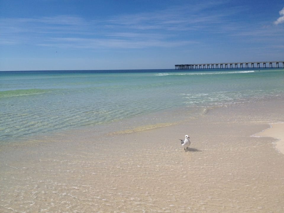 Spectacular beach front property