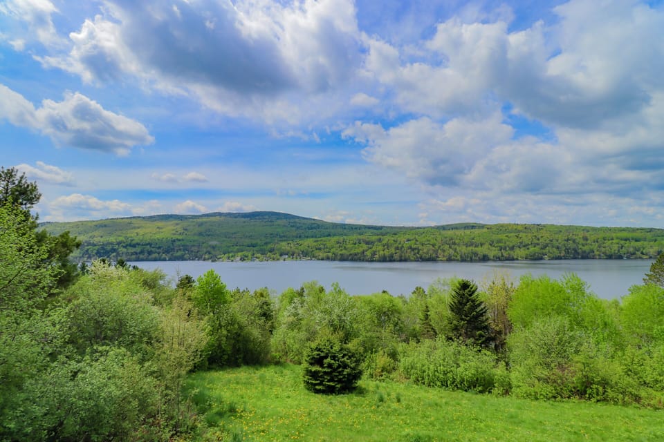 View from Deck