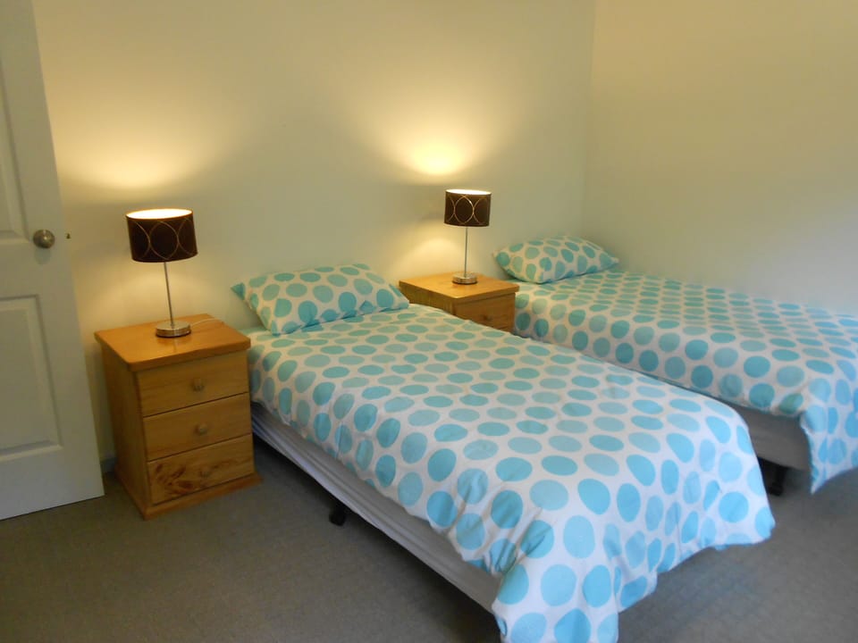 Twin Bedroom (Downstairs)