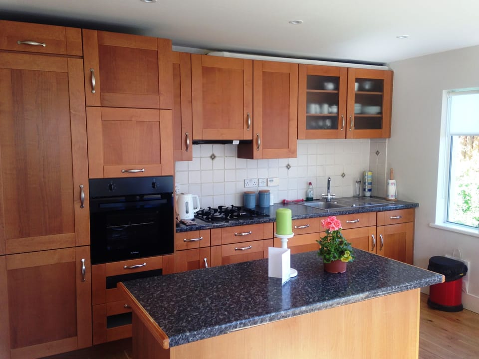 The kitchen, with fridge, freezer, oven, stove top, dishwasher, microwave