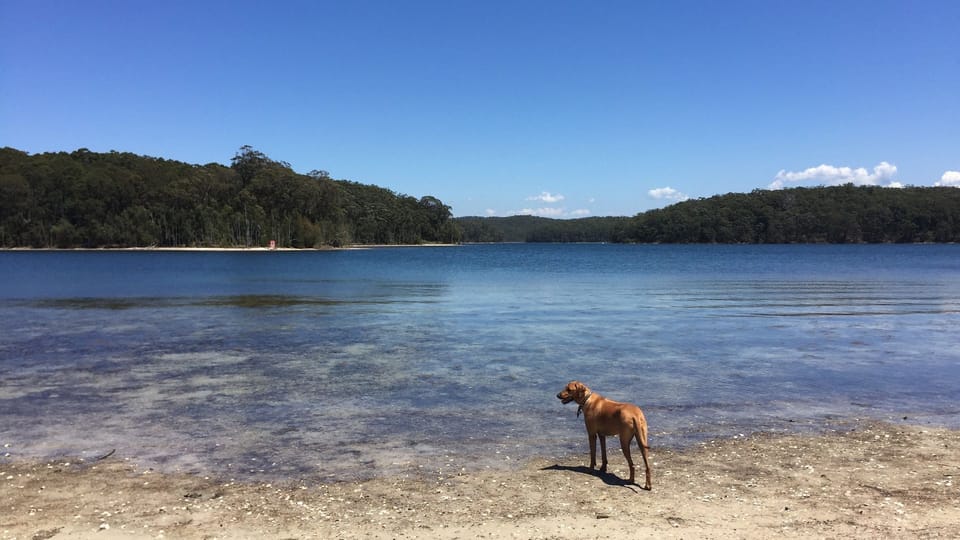 lake