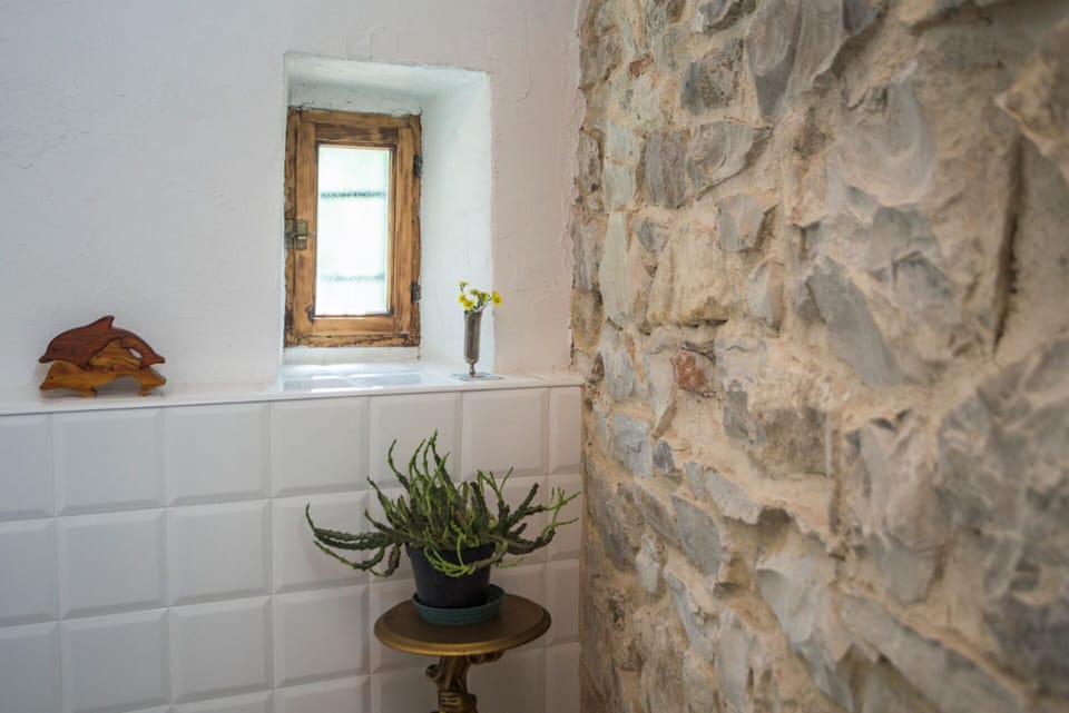 Bathroom window